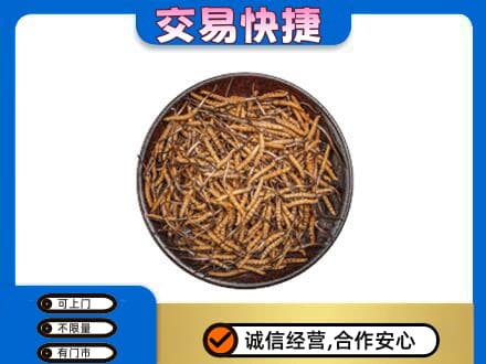 西安高价回收散虫草